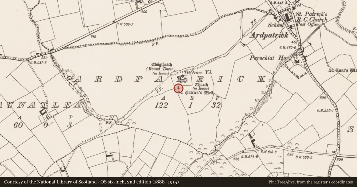 Ordnance Survey six-inch map, 2nd edition (1888–1915) covering the location of Ritual site - holy well, Ardpatrick, County Limerick, with a pin at the register's coordinates