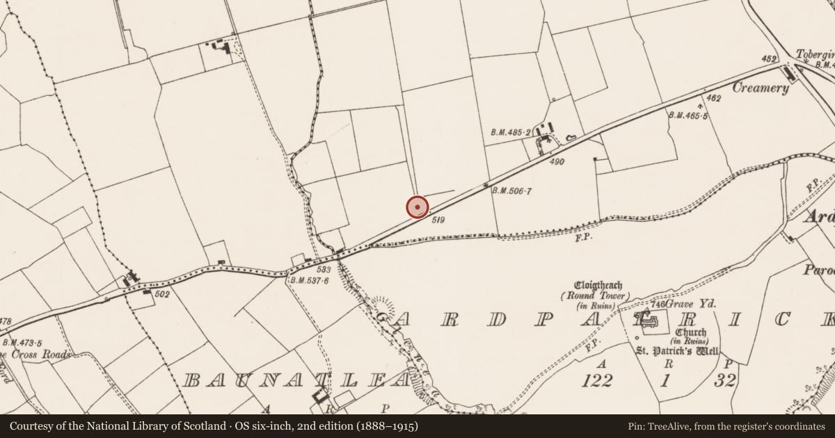 Ordnance Survey six-inch map, 2nd edition (1888–1915) covering the location of Earthwork, Baunmore, County Limerick, with a pin at the register's coordinates