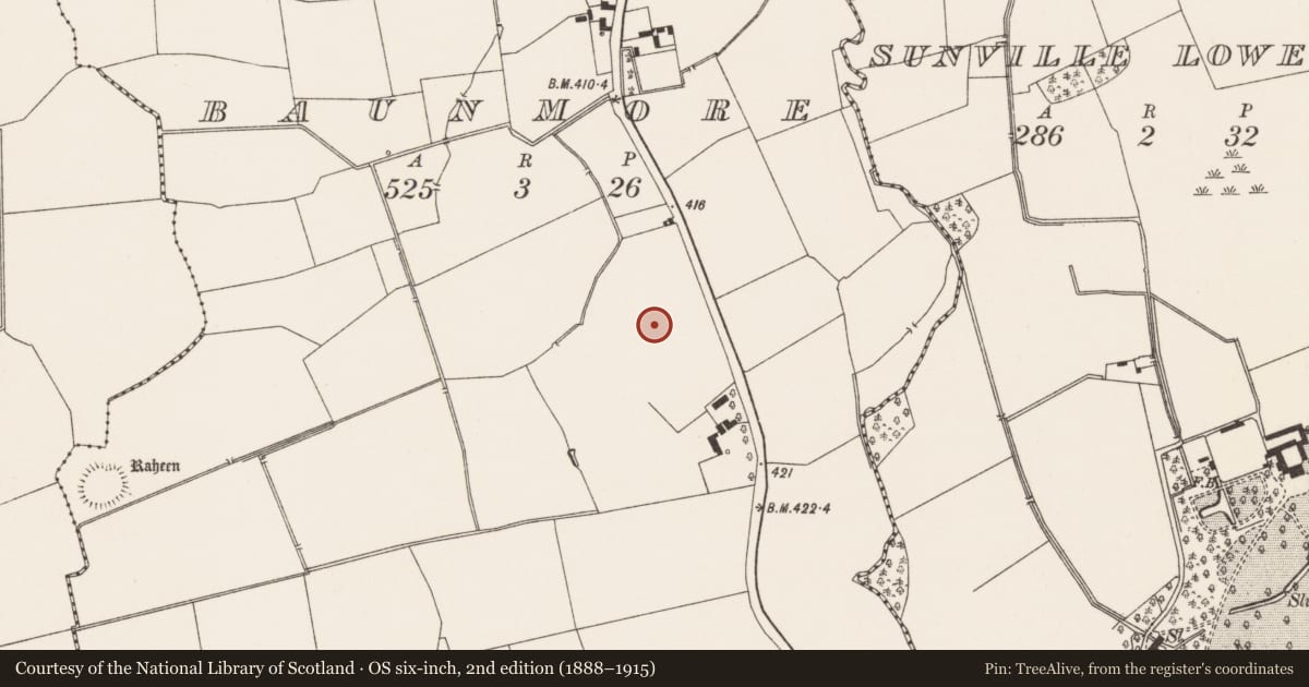 Ordnance Survey six-inch map, 2nd edition (1888–1915) covering the location of Earthwork, Baunmore, County Limerick, with a pin at the register's coordinates