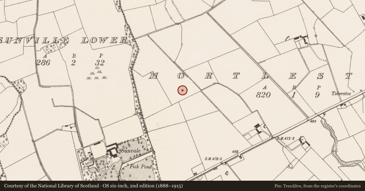 Ordnance Survey six-inch map, 2nd edition (1888–1915) covering the location of Barrow - unclassified, Mortlestown, County Limerick, with a pin at the register's coordinates