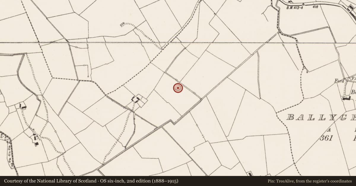 Ordnance Survey six-inch map, 2nd edition (1888–1915) covering the location of Earthwork, Mortlestown, County Limerick, with a pin at the register's coordinates