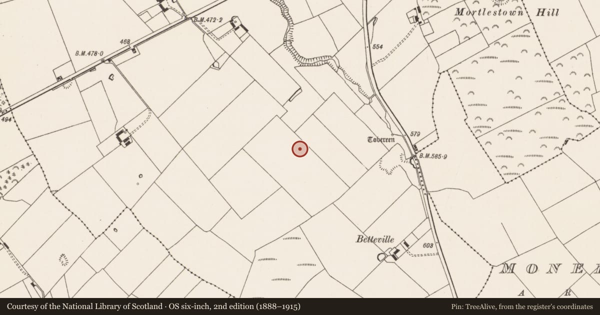 Ordnance Survey six-inch map, 2nd edition (1888–1915) covering the location of Bullaun stone, Mortlestown, County Limerick, with a pin at the register's coordinates