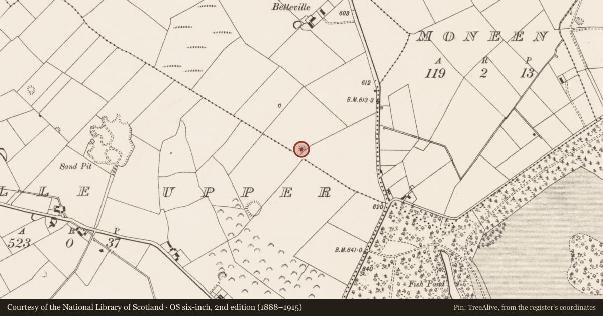 Ordnance Survey six-inch map, 2nd edition (1888–1915) covering the location of Barrow - bowl-barrow, Mortlestown, County Limerick, with a pin at the register's coordinates