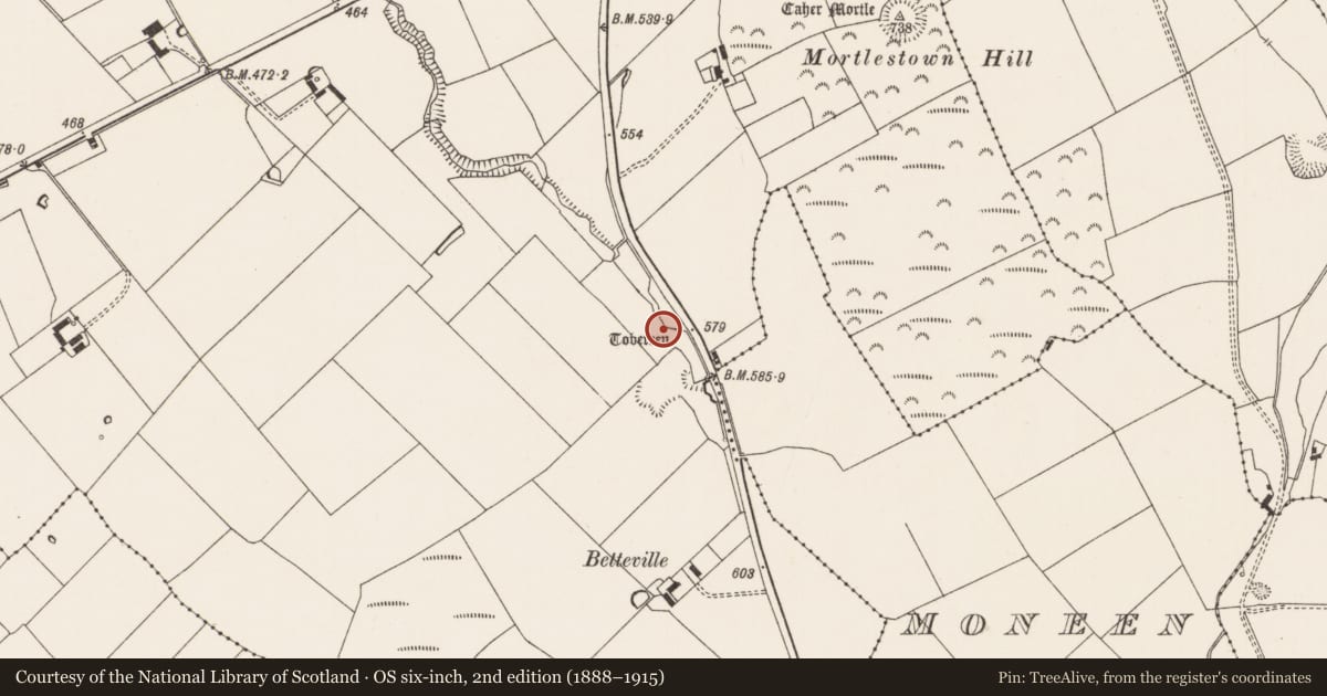 Ordnance Survey six-inch map, 2nd edition (1888–1915) covering the location of Ritual site - holy well, Mortlestown, County Limerick, with a pin at the register's coordinates