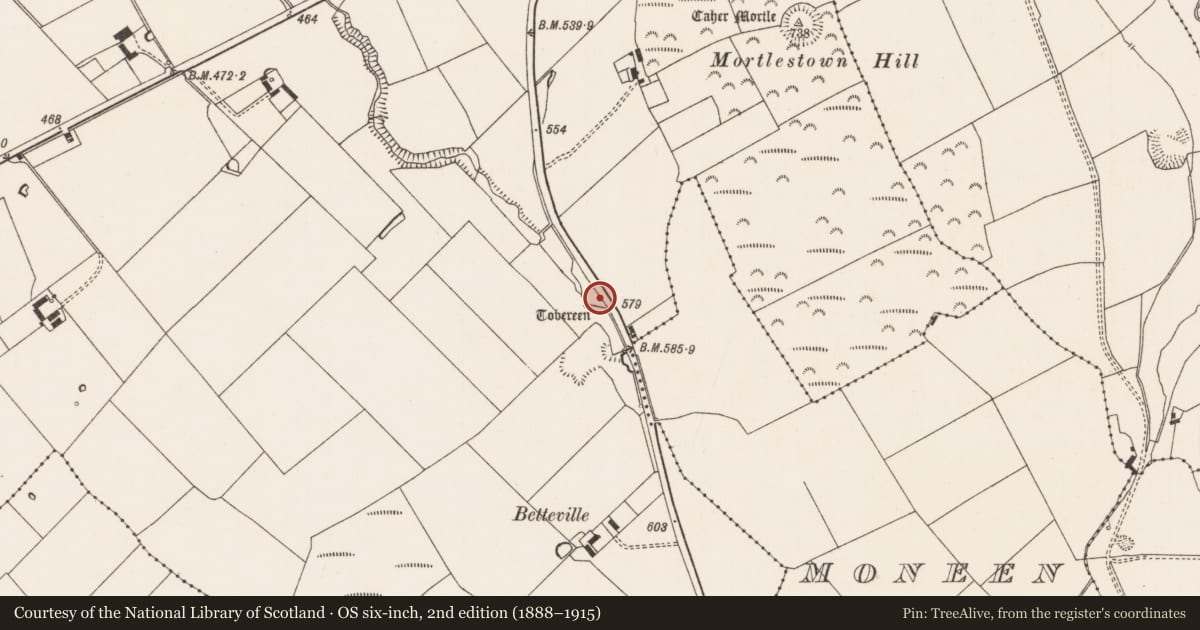 Ordnance Survey six-inch map, 2nd edition (1888–1915) covering the location of Mound, Mortlestown, County Limerick, with a pin at the register's coordinates