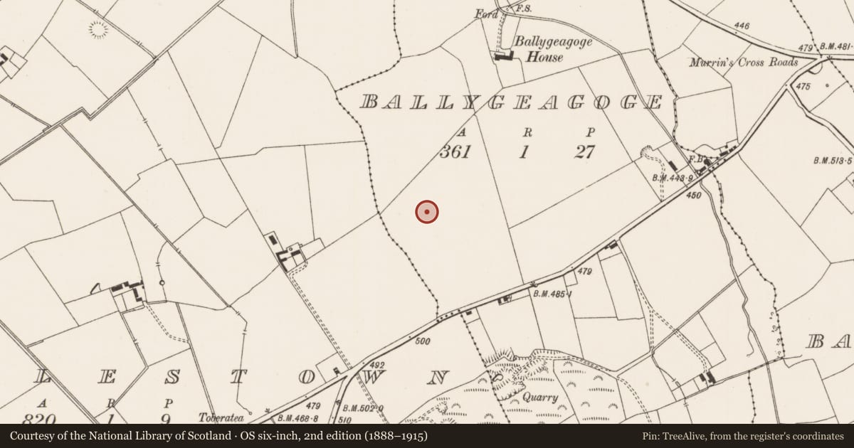 Ordnance Survey six-inch map, 2nd edition (1888–1915) covering the location of Standing stone, Ballygeagoge, County Limerick, with a pin at the register's coordinates