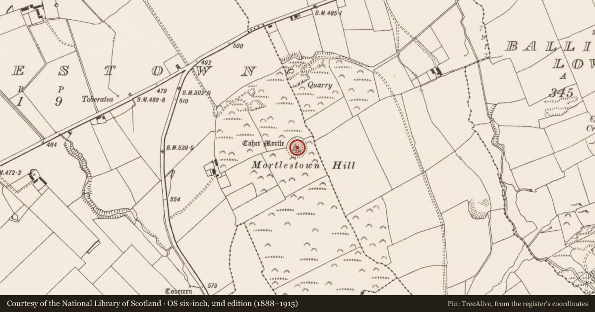 Ordnance Survey six-inch map, 2nd edition (1888–1915) covering the location of Ringfort - rath, Mortlestown, County Limerick, with a pin at the register's coordinates