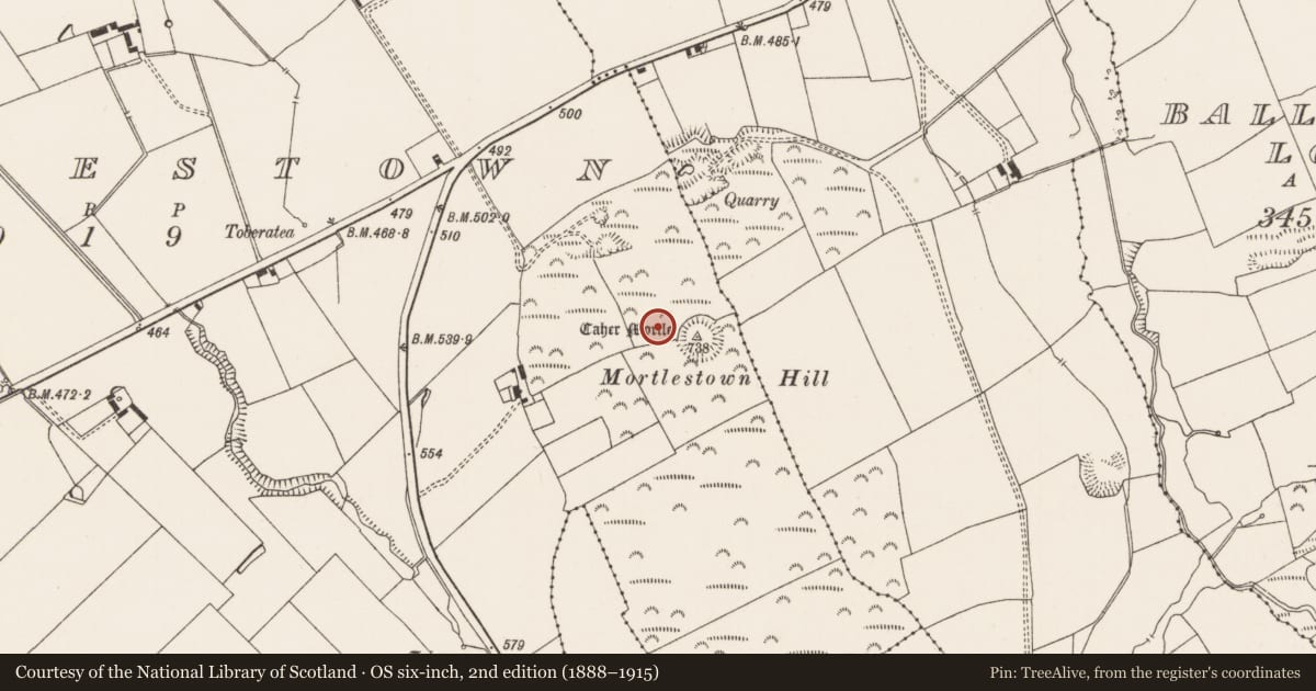 Ordnance Survey six-inch map, 2nd edition (1888–1915) covering the location of Linear earthwork, Mortlestown, County Limerick, with a pin at the register's coordinates