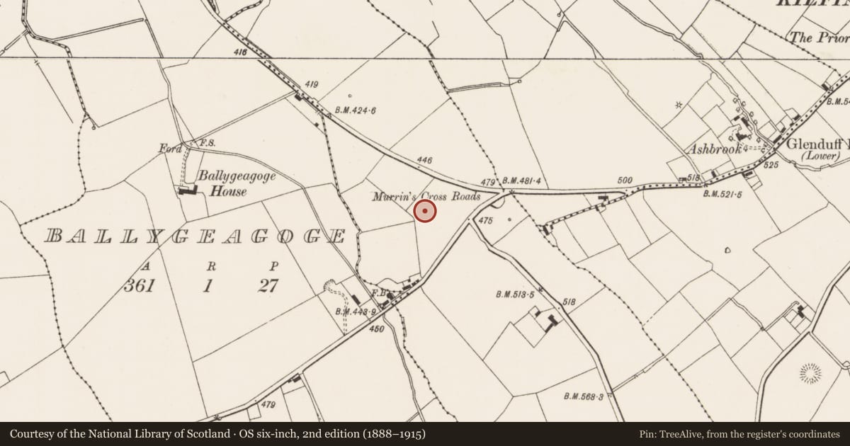Ordnance Survey six-inch map, 2nd edition (1888–1915) covering the location of Standing stone, Ballinlyna Lower, County Limerick, with a pin at the register's coordinates