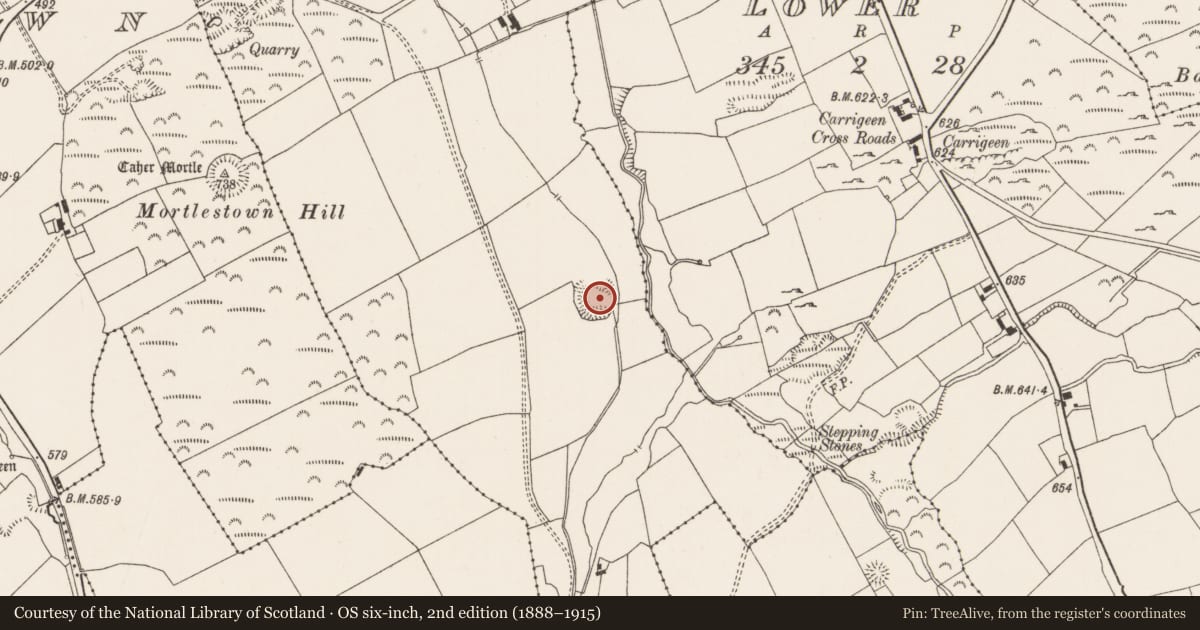 Ordnance Survey six-inch map, 2nd edition (1888–1915) covering the location of Ringfort - rath, Ballygeagoge, County Limerick, with a pin at the register's coordinates