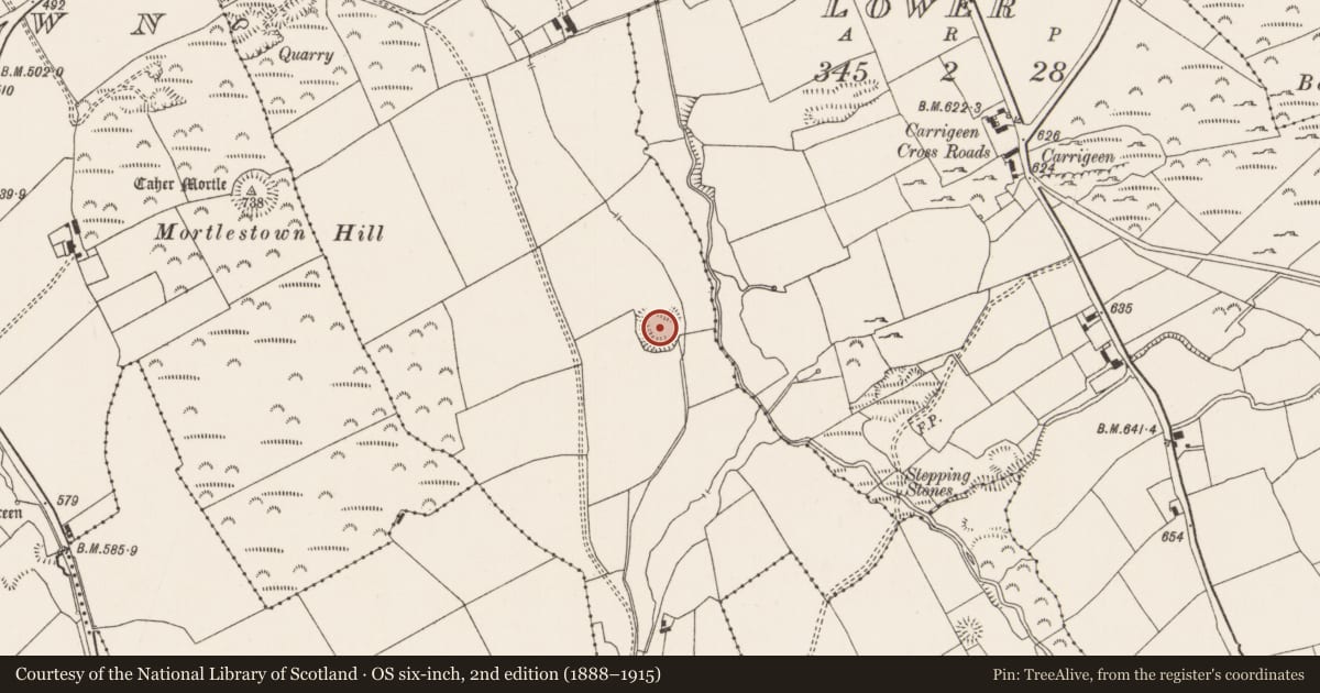 Ordnance Survey six-inch map, 2nd edition (1888–1915) covering the location of Souterrain, Ballygeagoge, County Limerick, with a pin at the register's coordinates