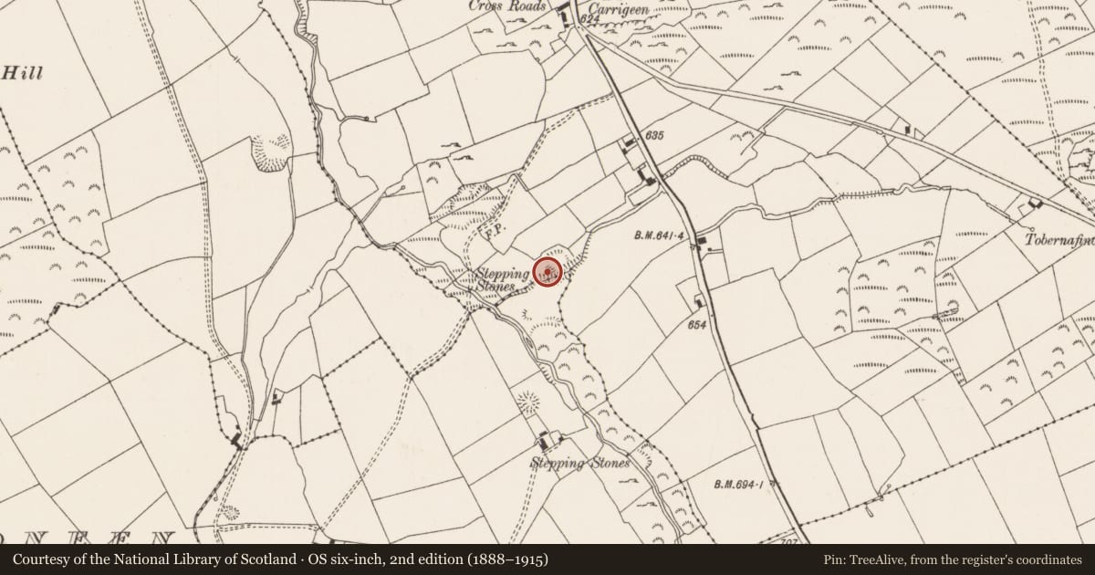Ordnance Survey six-inch map, 2nd edition (1888–1915) covering the location of Standing stone, Ballinlyna Lower, County Limerick, with a pin at the register's coordinates
