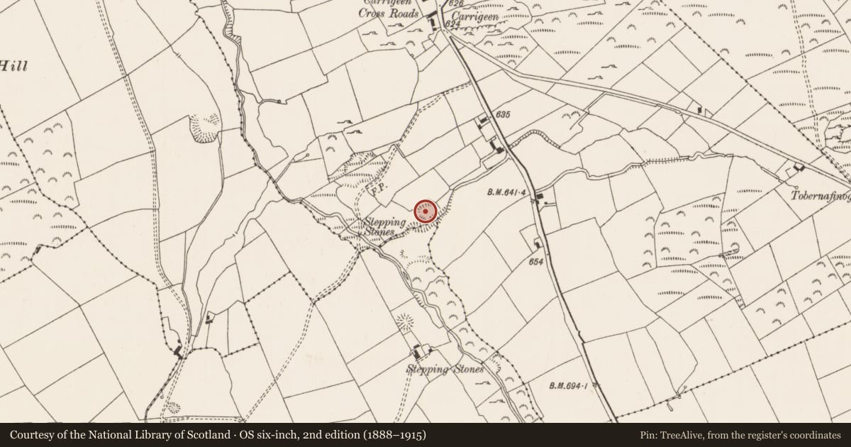 Ordnance Survey six-inch map, 2nd edition (1888–1915) covering the location of Souterrain, Ballinlyna Lower, County Limerick, with a pin at the register's coordinates