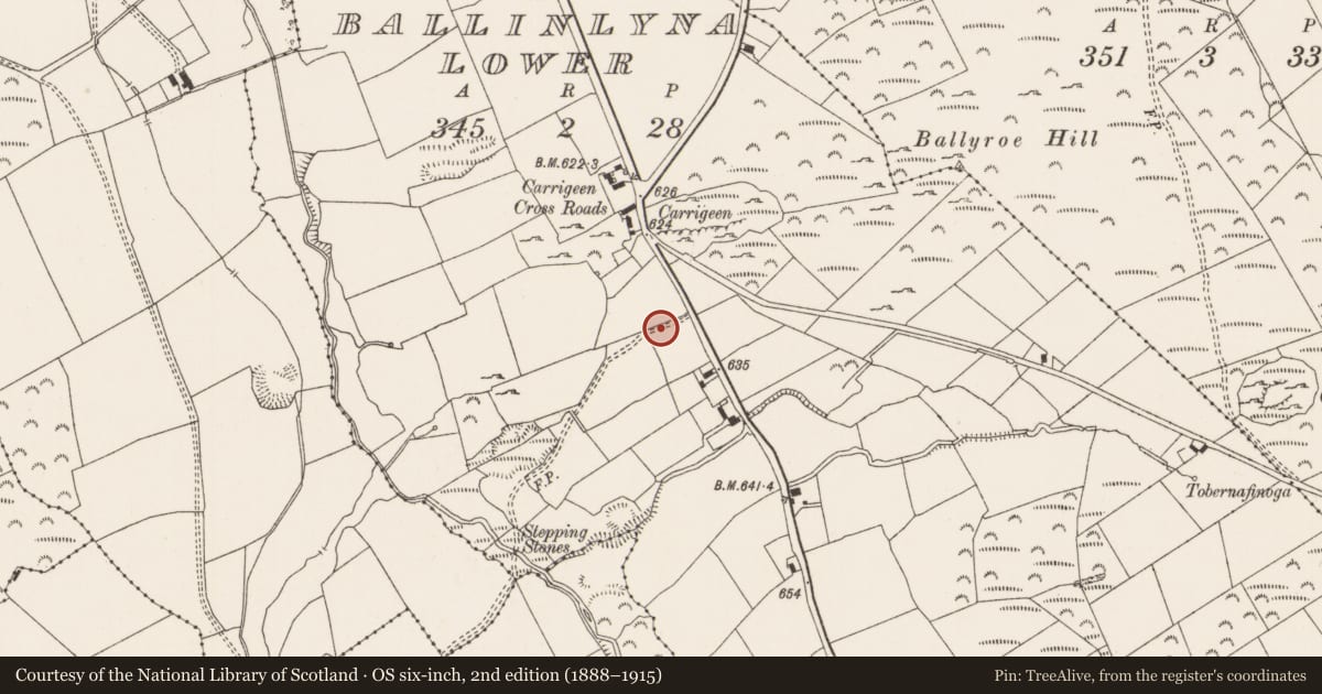 Ordnance Survey six-inch map, 2nd edition (1888–1915) covering the location of Souterrain, Ballinlyna Lower, County Limerick, with a pin at the register's coordinates