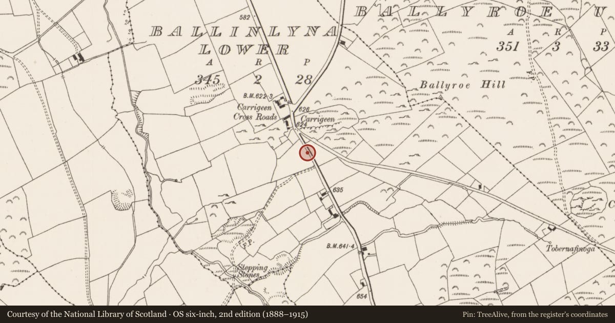 Ordnance Survey six-inch map, 2nd edition (1888–1915) covering the location of Standing stone, Ballinlyna Lower, County Limerick, with a pin at the register's coordinates