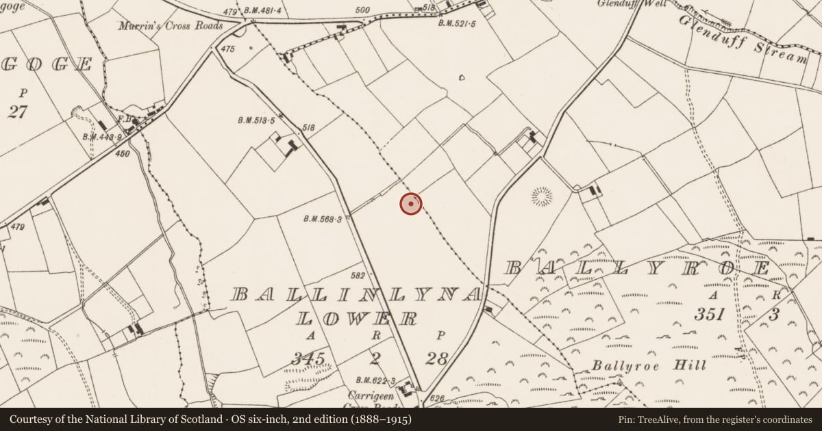 Ordnance Survey six-inch map, 2nd edition (1888–1915) covering the location of Souterrain, Ballinlyna Lower, County Limerick, with a pin at the register's coordinates