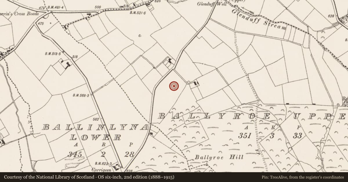 Ordnance Survey six-inch map, 2nd edition (1888–1915) covering the location of Barrow - unclassified, Ballyroe Upper, County Limerick, with a pin at the register's coordinates