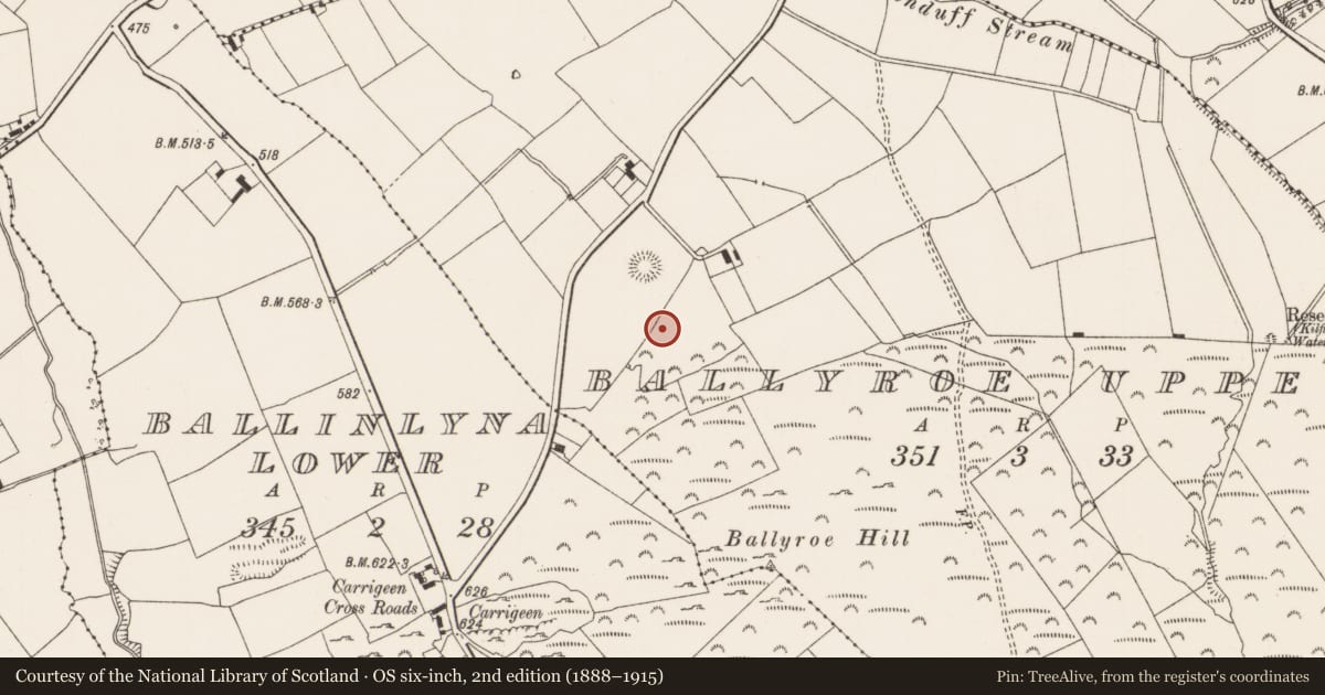 Ordnance Survey six-inch map, 2nd edition (1888–1915) covering the location of Road - road/trackway, Ballyroe Upper, County Limerick, with a pin at the register's coordinates