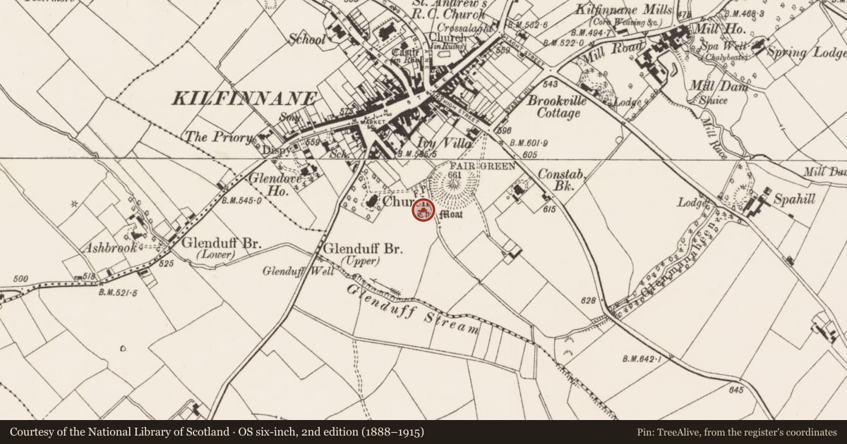 Ordnance Survey six-inch map, 2nd edition (1888–1915) covering the location of Standing stone, Kilfinnane, County Limerick, with a pin at the register's coordinates