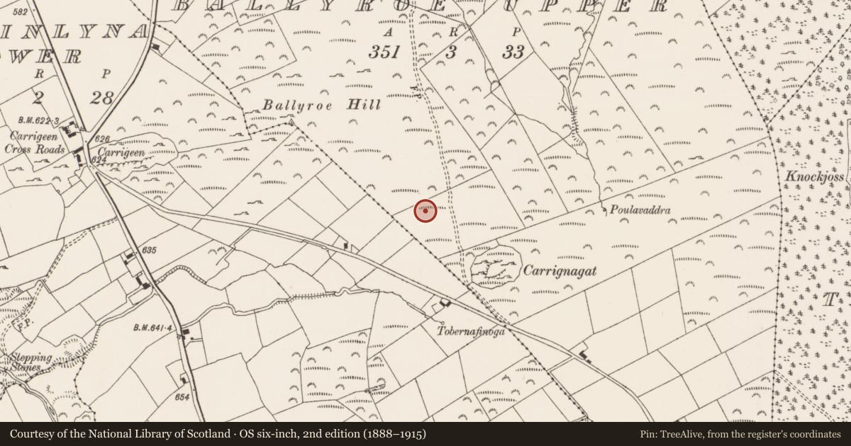 Ordnance Survey six-inch map, 2nd edition (1888–1915) covering the location of Mound, Ballyroe Upper, County Limerick, with a pin at the register's coordinates