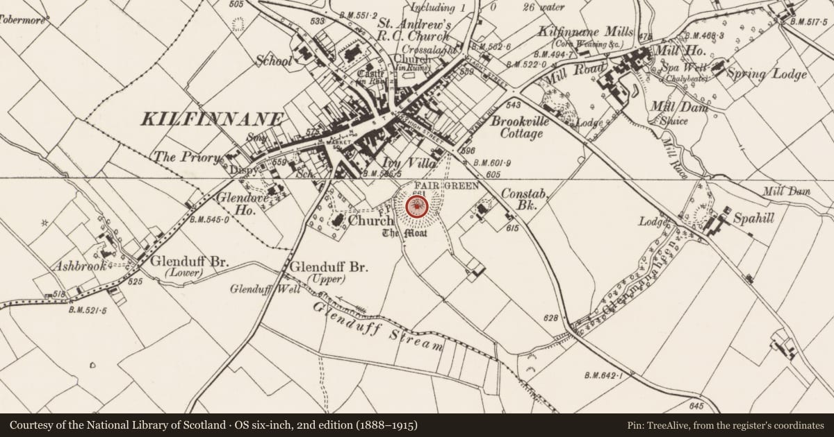 Ordnance Survey six-inch map, 2nd edition (1888–1915) covering the location of Castle - motte, Kilfinnane, County Limerick, with a pin at the register's coordinates