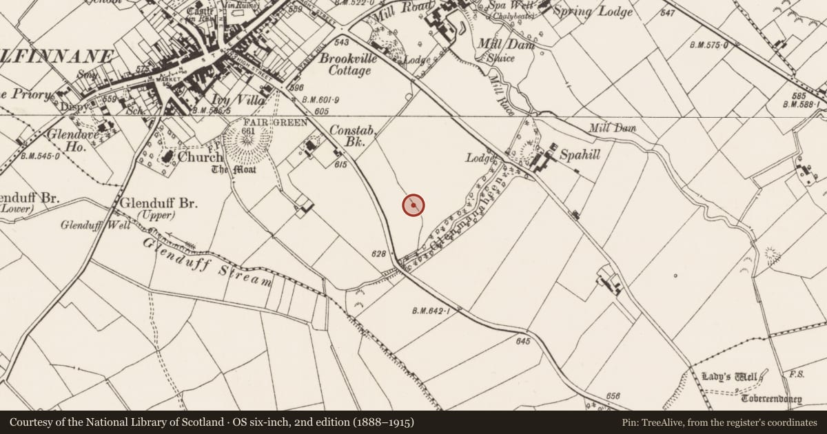 Ordnance Survey six-inch map, 2nd edition (1888–1915) covering the location of Burial ground, Kilfinnane, County Limerick, with a pin at the register's coordinates