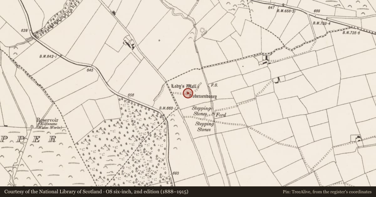 Ordnance Survey six-inch map, 2nd edition (1888–1915) covering the location of Ritual site - holy well, Thomastown, County Limerick, with a pin at the register's coordinates