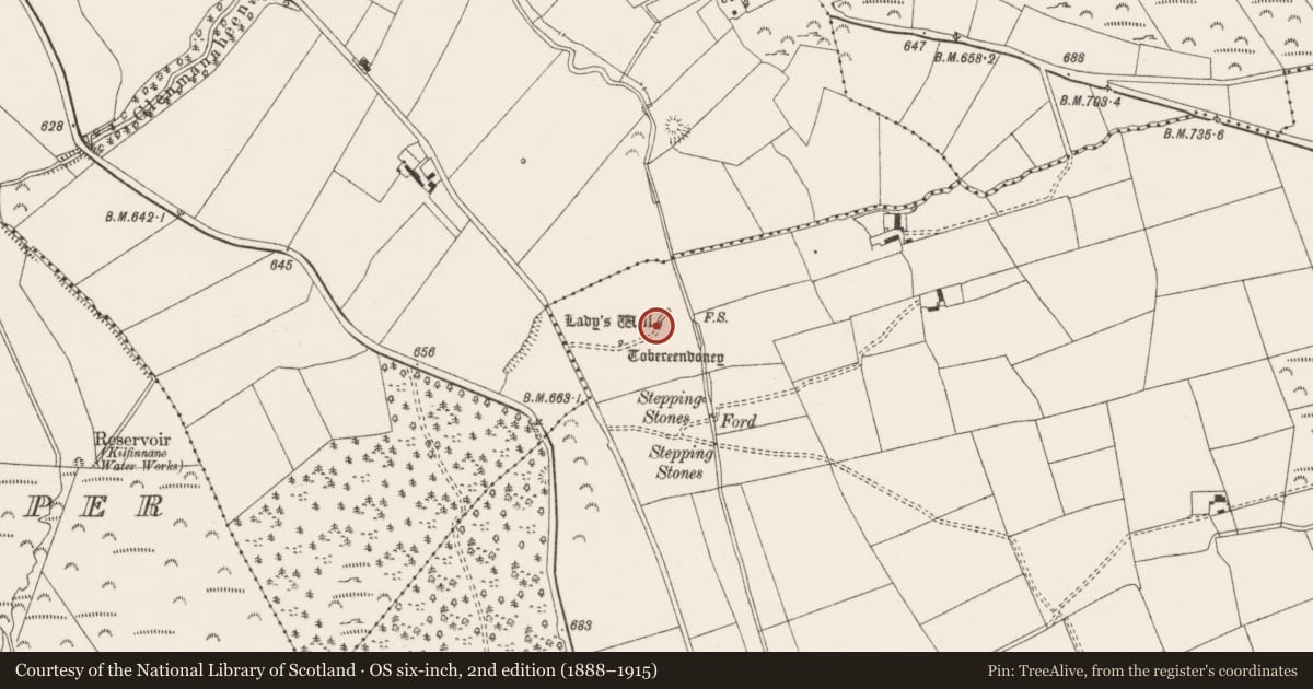 Ordnance Survey six-inch map, 2nd edition (1888–1915) covering the location of Ritual site - holy well, Thomastown, County Limerick, with a pin at the register's coordinates