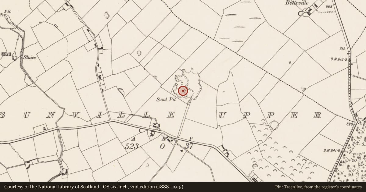 Ordnance Survey six-inch map, 2nd edition (1888–1915) covering the location of Earthwork, Sunville Upper, County Limerick, with a pin at the register's coordinates