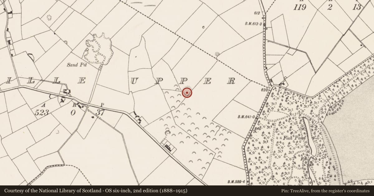 Ordnance Survey six-inch map, 2nd edition (1888–1915) covering the location of Ringfort - rath, Sunville Upper, County Limerick, with a pin at the register's coordinates