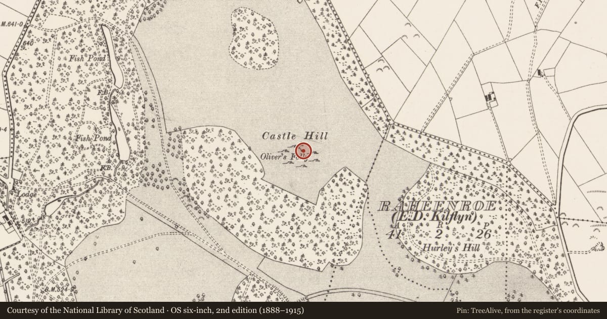 Ordnance Survey six-inch map, 2nd edition (1888–1915) covering the location of Designed landscape - folly, Castleoliver, County Limerick, with a pin at the register's coordinates