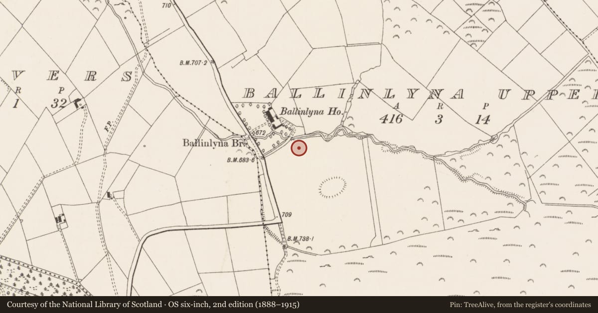 Ordnance Survey six-inch map, 2nd edition (1888–1915) covering the location of Cist, Ballinlyna Upper, County Limerick, with a pin at the register's coordinates