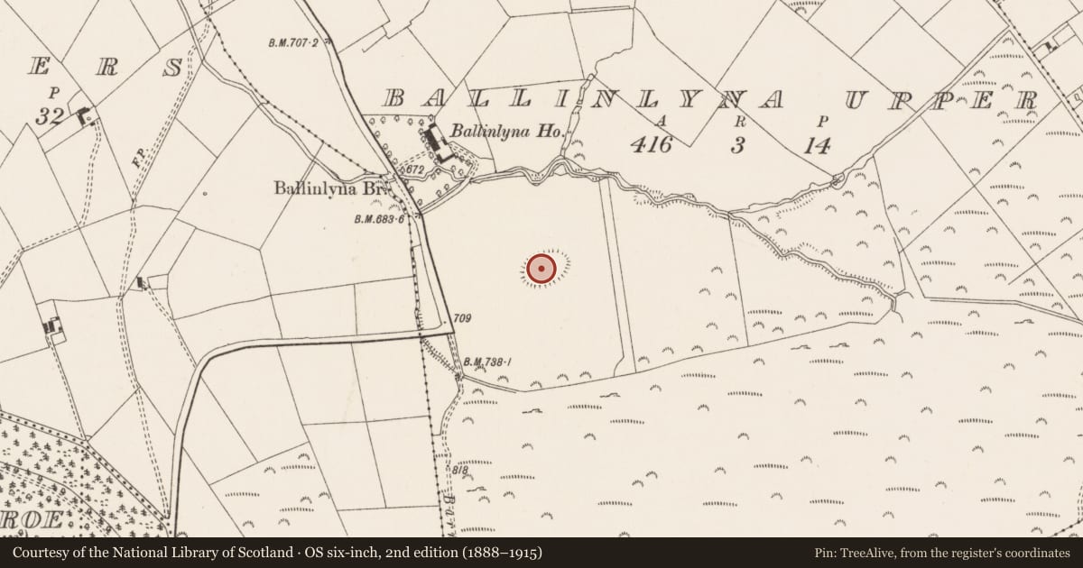 Ordnance Survey six-inch map, 2nd edition (1888–1915) covering the location of Earthwork, Ballinlyna Upper, County Limerick, with a pin at the register's coordinates