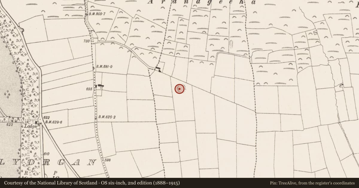 Ordnance Survey six-inch map, 2nd edition (1888–1915) covering the location of Earthwork, Abbey, County Limerick, with a pin at the register's coordinates