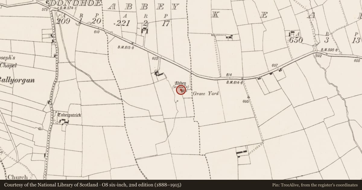 Ordnance Survey six-inch map, 2nd edition (1888–1915) covering the location of Religious house - Dominican friars, Abbey, County Limerick, with a pin at the register's coordinates