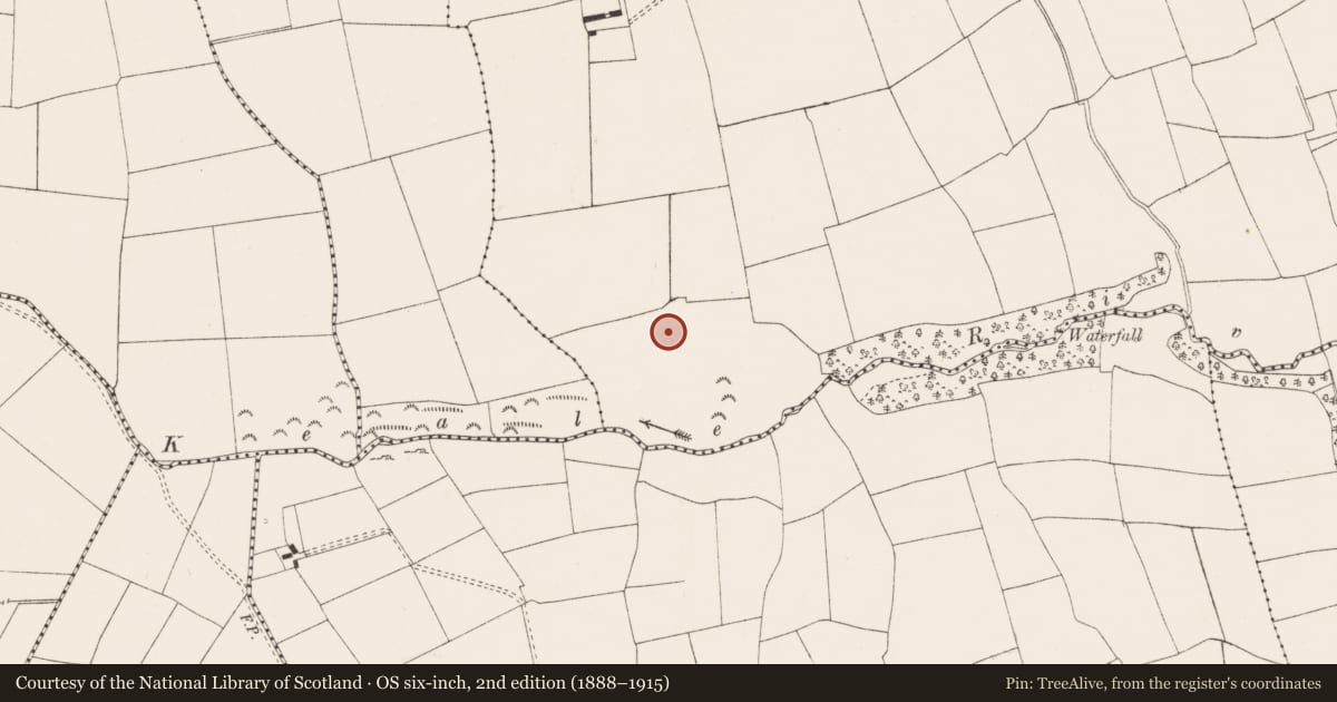 Ordnance Survey six-inch map, 2nd edition (1888–1915) covering the location of Earthwork, Keale, County Limerick, with a pin at the register's coordinates