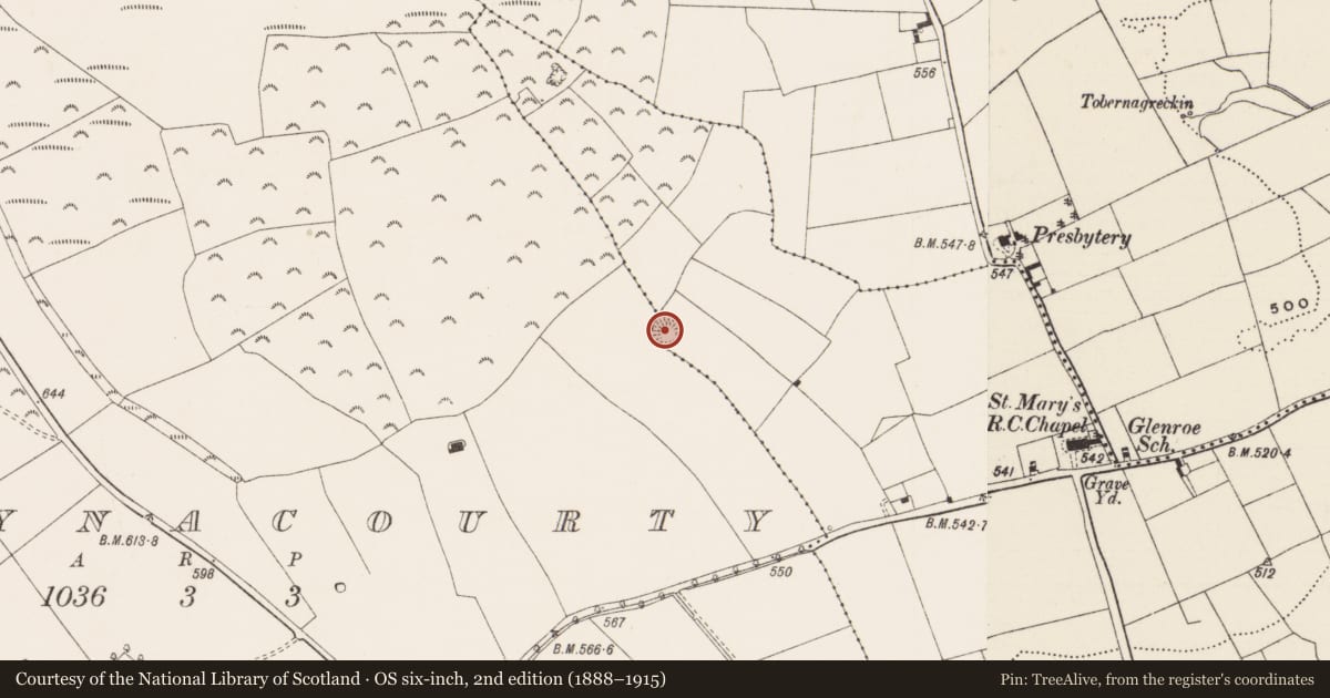 Ordnance Survey six-inch map, 2nd edition (1888–1915) covering the location of Earthwork, Spittle, County Limerick, with a pin at the register's coordinates