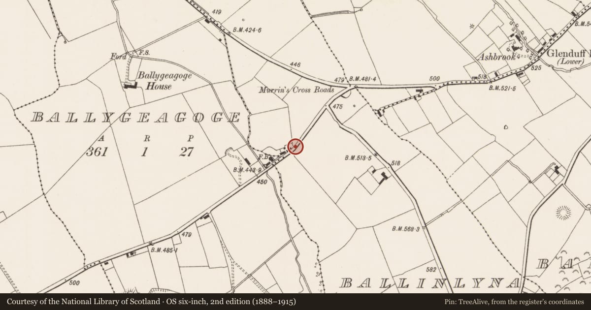 Ordnance Survey six-inch map, 2nd edition (1888–1915) covering the location of Water mill - unclassified, Ballinlyna Lower, County Limerick, with a pin at the register's coordinates