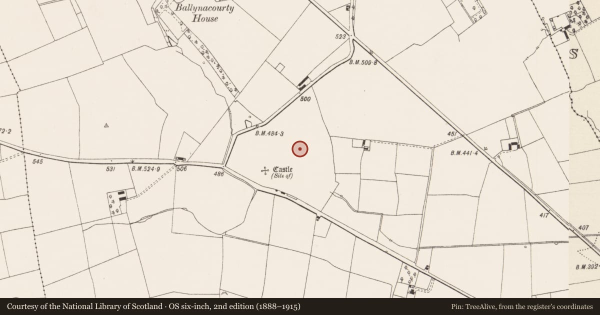 Ordnance Survey six-inch map, 2nd edition (1888–1915) covering the location of Earthwork, Ballynacourty, County Limerick, with a pin at the register's coordinates