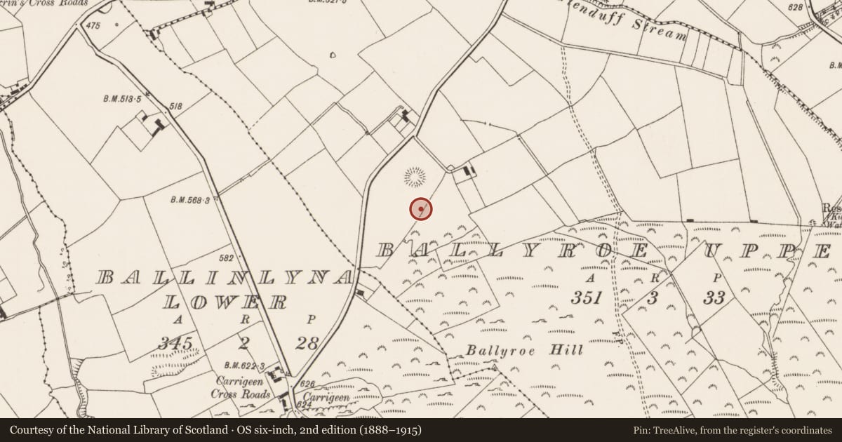 Ordnance Survey six-inch map, 2nd edition (1888–1915) covering the location of Standing stone, Ballyroe Upper, County Limerick, with a pin at the register's coordinates