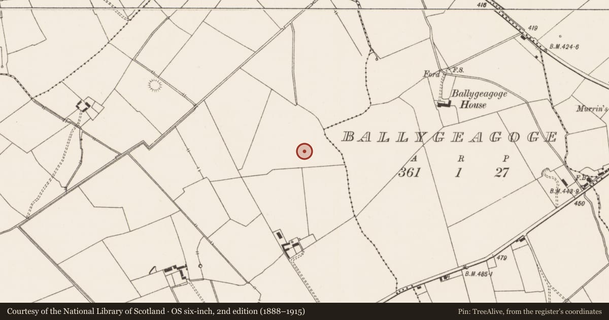 Ordnance Survey six-inch map, 2nd edition (1888–1915) covering the location of Standing stone, Mortlestown, County Limerick, with a pin at the register's coordinates