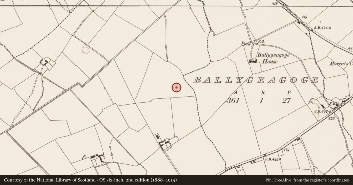 Ordnance Survey six-inch map, 2nd edition (1888–1915) covering the location of Standing stone, Mortlestown, County Limerick, with a pin at the register's coordinates
