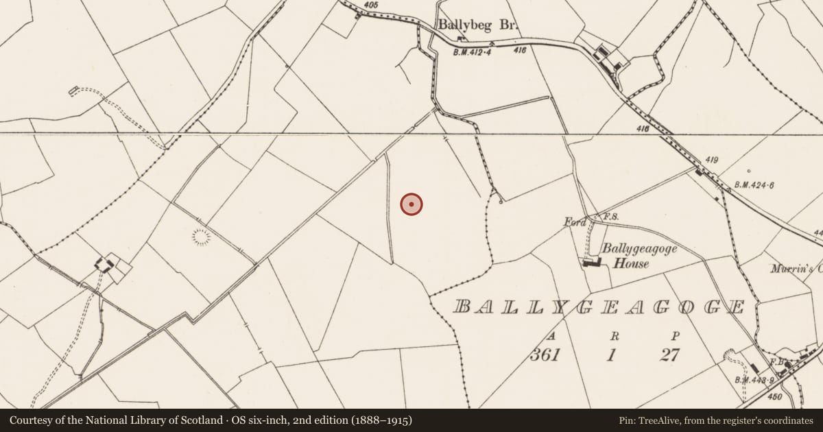 Ordnance Survey six-inch map, 2nd edition (1888–1915) covering the location of Standing stone, Mortlestown, County Limerick, with a pin at the register's coordinates