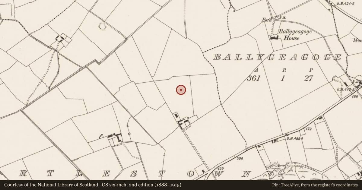 Ordnance Survey six-inch map, 2nd edition (1888–1915) covering the location of Standing stone, Mortlestown, County Limerick, with a pin at the register's coordinates