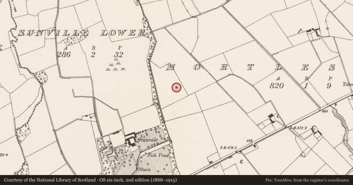 Ordnance Survey six-inch map, 2nd edition (1888–1915) covering the location of Earthwork, Mortlestown, County Limerick, with a pin at the register's coordinates