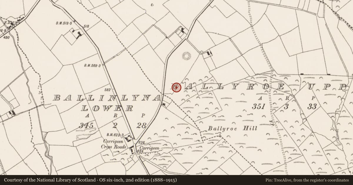Ordnance Survey six-inch map, 2nd edition (1888–1915) covering the location of Excavation - miscellaneous, Ballyroe Upper, County Limerick, with a pin at the register's coordinates
