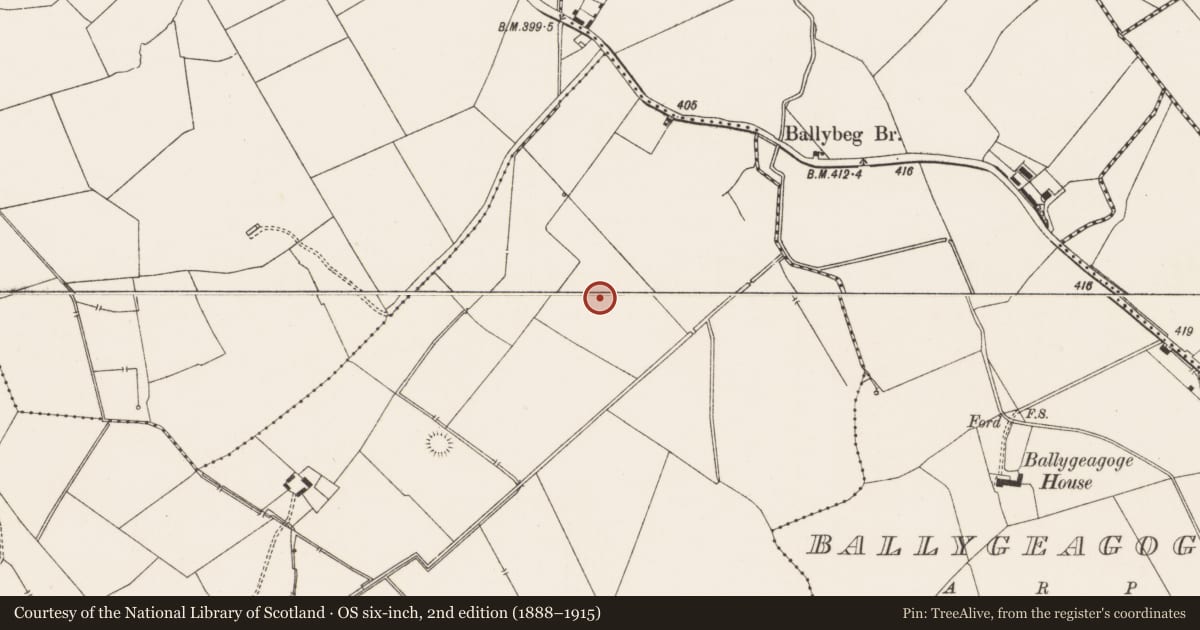 Ordnance Survey six-inch map, 2nd edition (1888–1915) covering the location of Earthwork, Mortlestown, County Limerick, with a pin at the register's coordinates