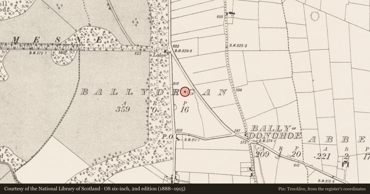 Ordnance Survey six-inch map, 2nd edition (1888–1915) covering the location of Enclosure, Ballyorgan, County Limerick, with a pin at the register's coordinates