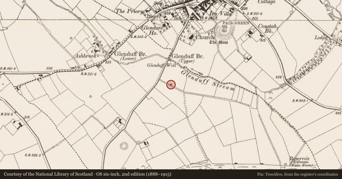 Ordnance Survey six-inch map, 2nd edition (1888–1915) covering the location of Standing stone, Ballyroe Upper, County Limerick, with a pin at the register's coordinates