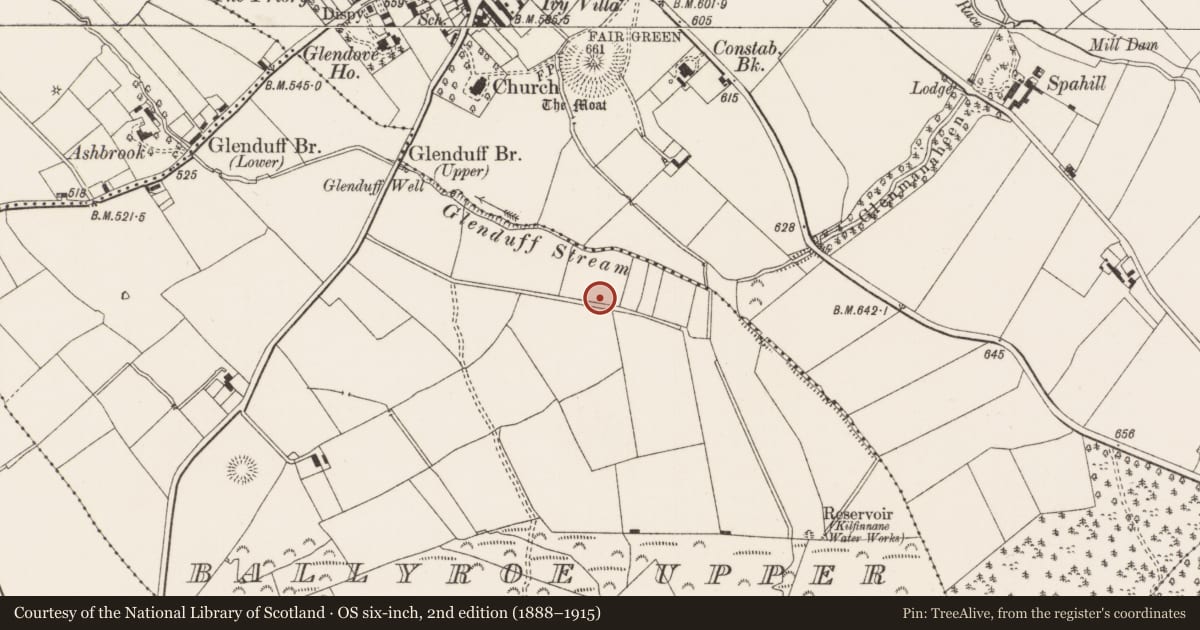 Ordnance Survey six-inch map, 2nd edition (1888–1915) covering the location of Standing stone, Ballyroe Upper, County Limerick, with a pin at the register's coordinates